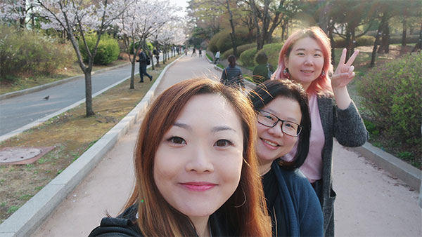 Cherry Blossoms at Yeouido Park_CK Chai Elizabeth & I