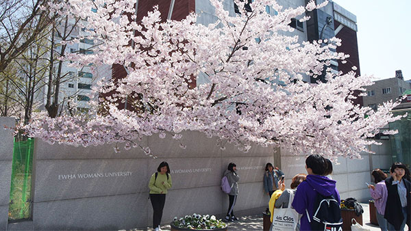 Ewha Woman's University with Cherry Blossoms