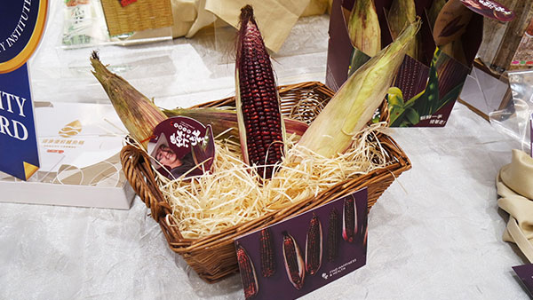 Hido Agri Innovation - Purple Waxy Corn Close Up