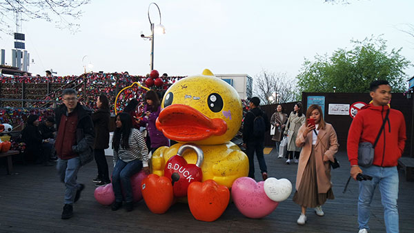 N Seoul Tower - Duck